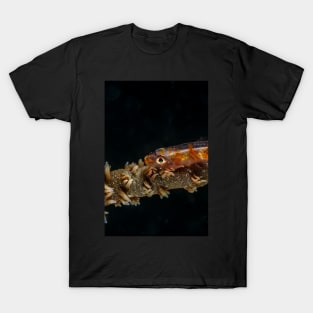 Colored sea whip coral goby T-Shirt